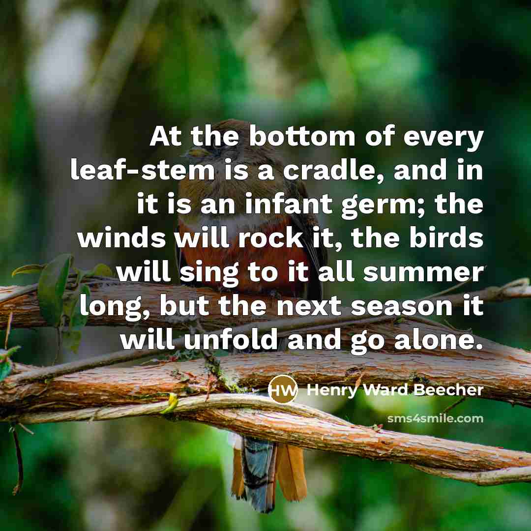 “At the bottom of every leaf-stem is a cradle, and…” quote by Henry Ward Beecher
