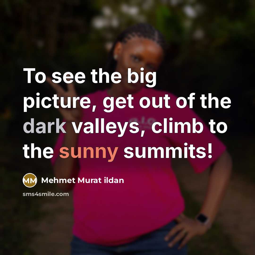 “To see the big picture, get out of the dark…” quote by Mehmet Murat Ildan