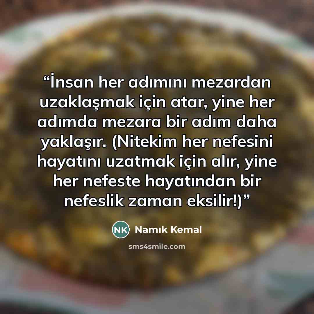 “İnsan her adımını mezardan uzaklaşmak için atar, yine her adımda mezara bir adım daha yaklaşır. (Nitekim her nefesini hayatını uzatmak için alır, yine her nefeste hayatından bir nefeslik zaman eksilir!)” quote by Namık Kemal