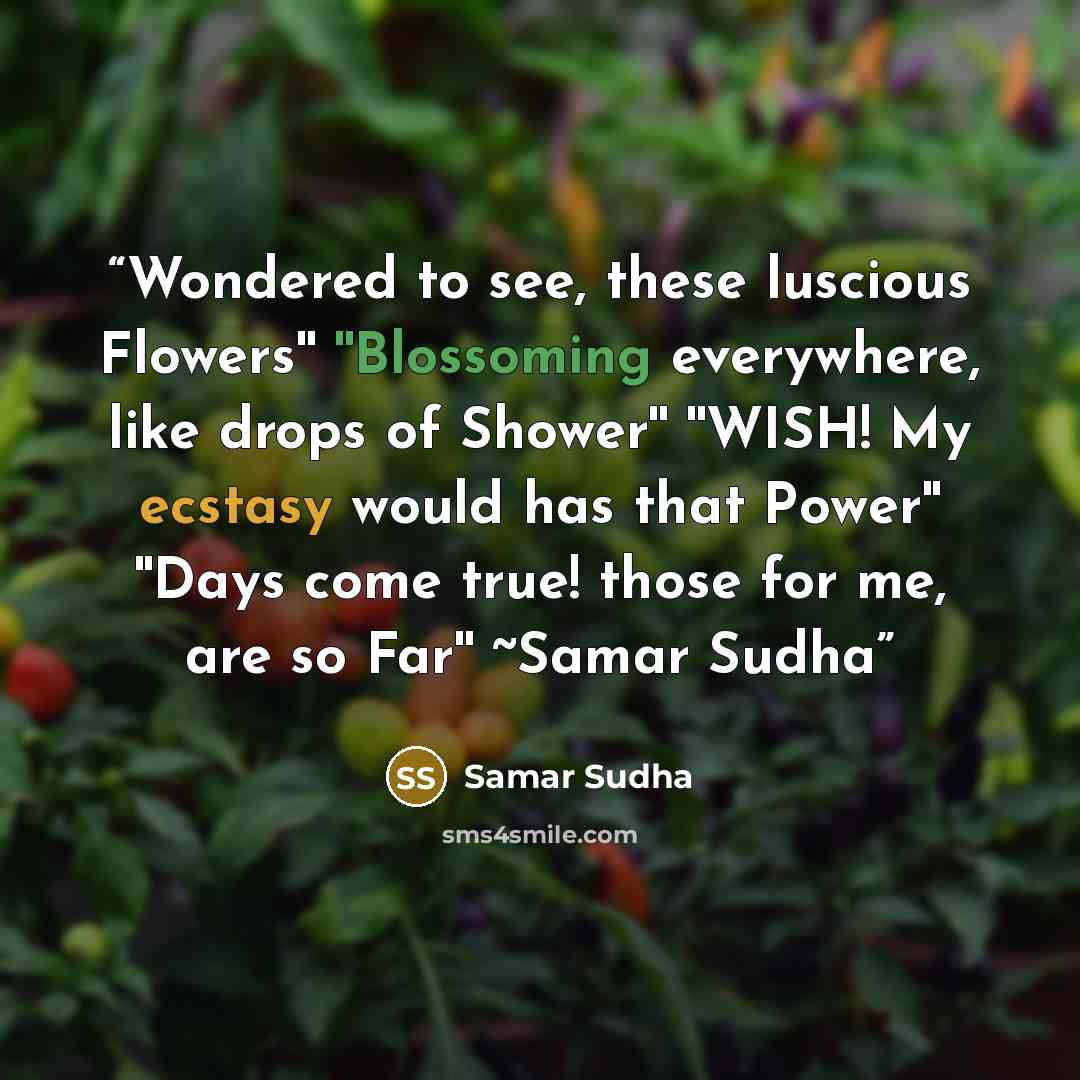 “Wondered to see, these luscious Flowers'' ''Blossoming everywhere, like drops of Shower'' ''WISH! My ecstasy would has that Power'' ''Days come true! those for me, are so Far'' ~Samar Sudha” quote by Samar Sudha