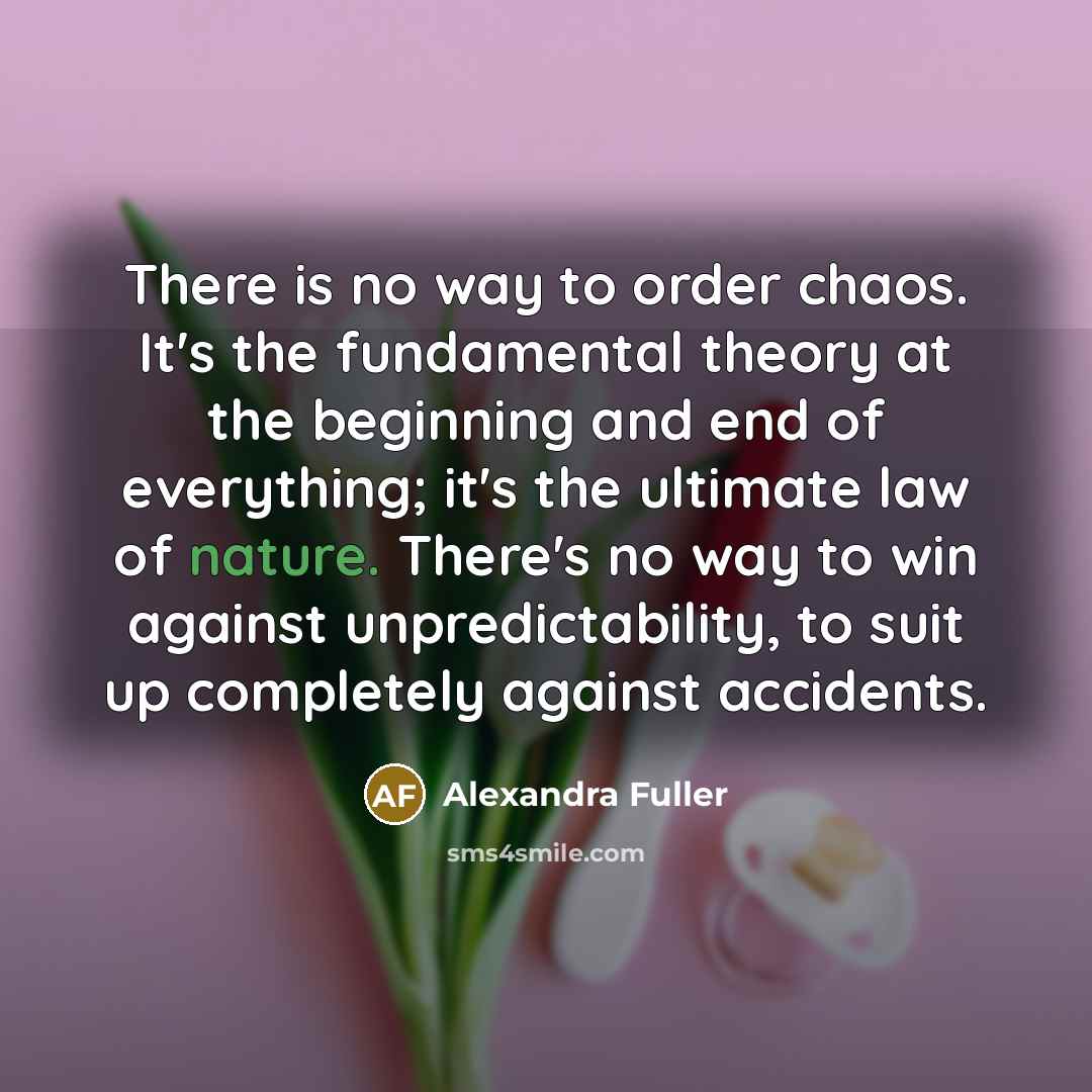 “There is no way to order chaos. It's the fundamental…” quote by Alexandra Fuller