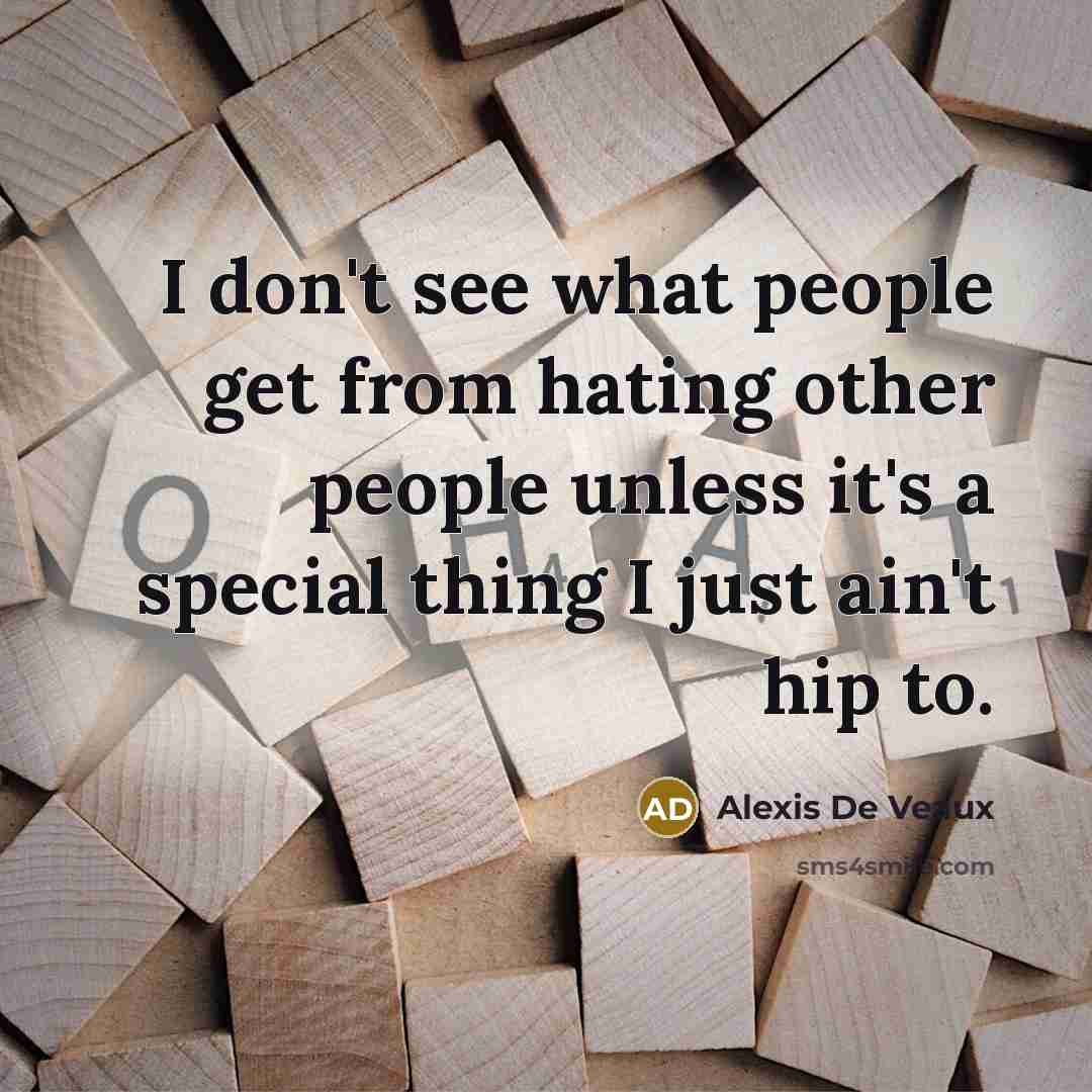 “I don't see what people get from hating other people…” quote by Alexis De Veaux
