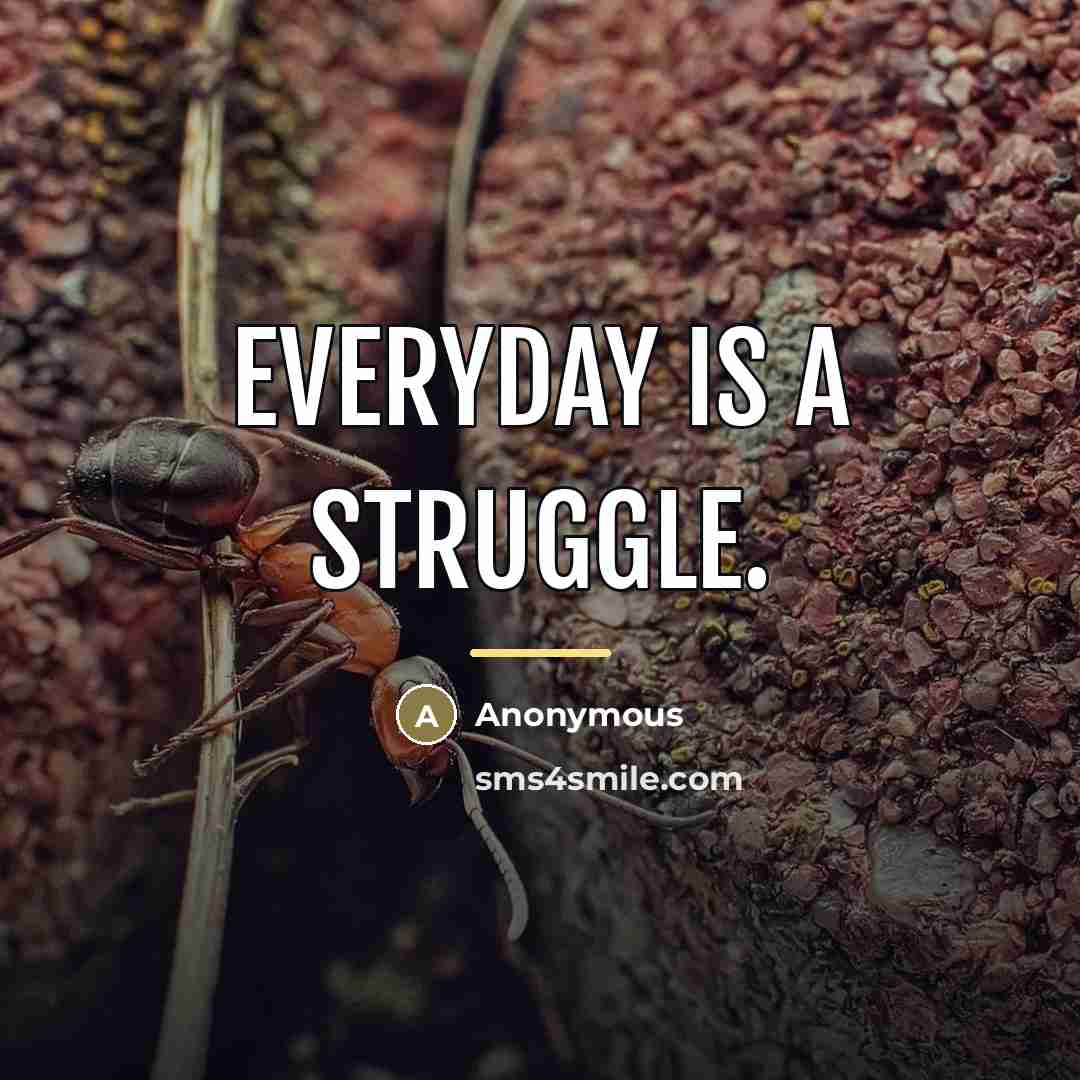 “Everyday is a struggle.…” quote by Anonymous
