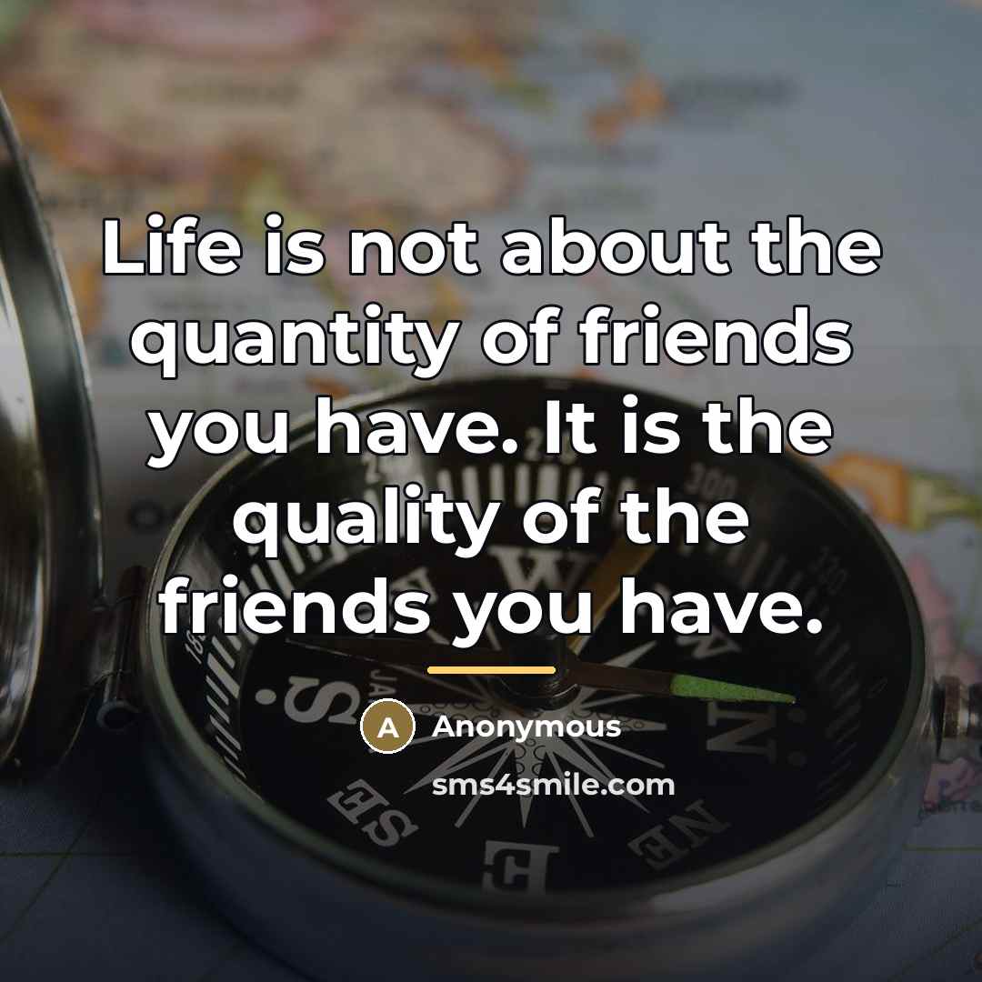 “Life is not about the quantity of friends you have.…” quote by Anonymous