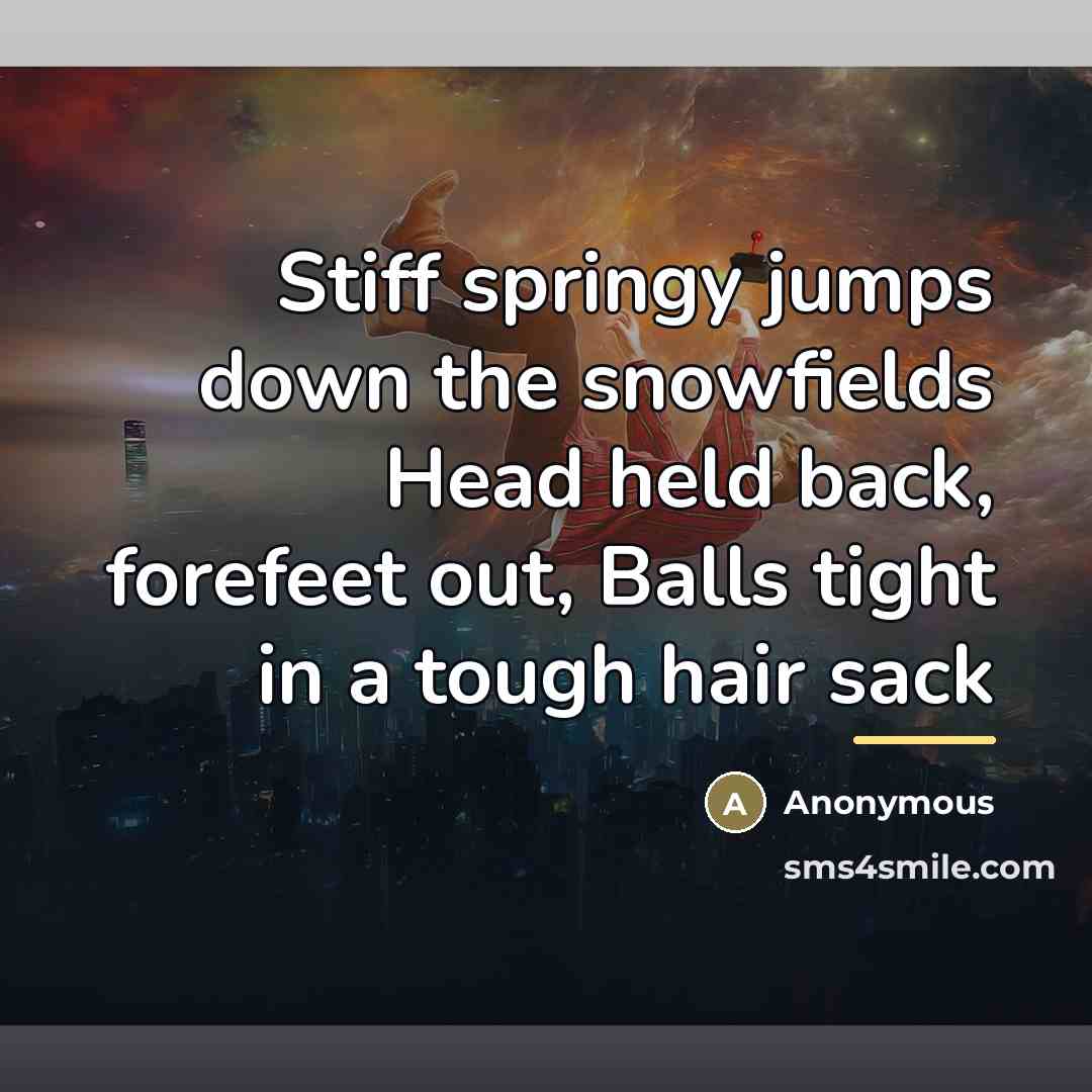 “Stiff springy jumps down the snowfields Head held back, forefeet…” quote by Anonymous