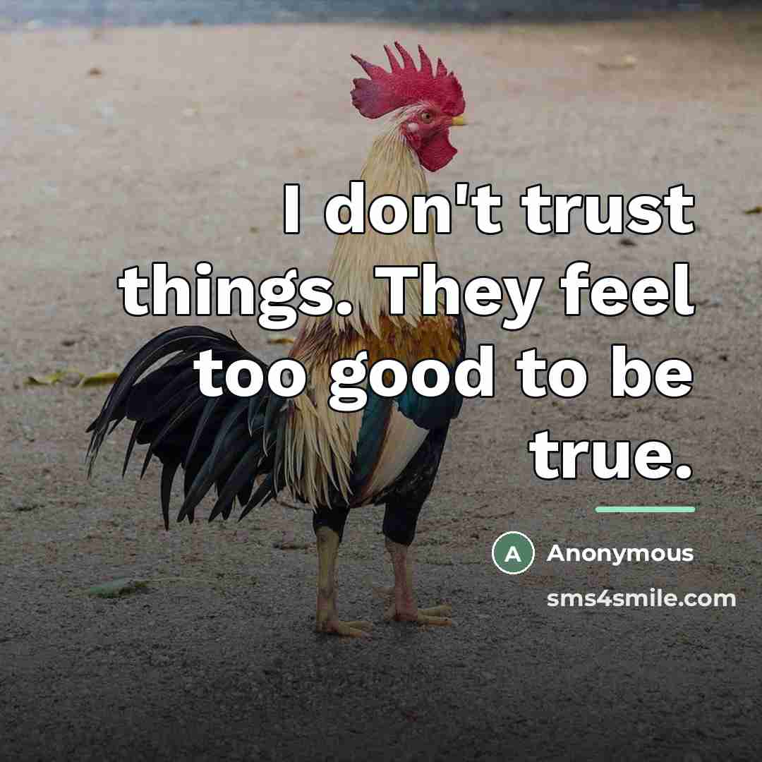 “I don't trust things. They feel too good to be…” quote by Anonymous