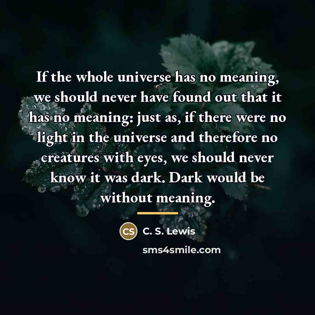 “If the whole universe has no meaning, we should never…” quote by C. S. Lewis