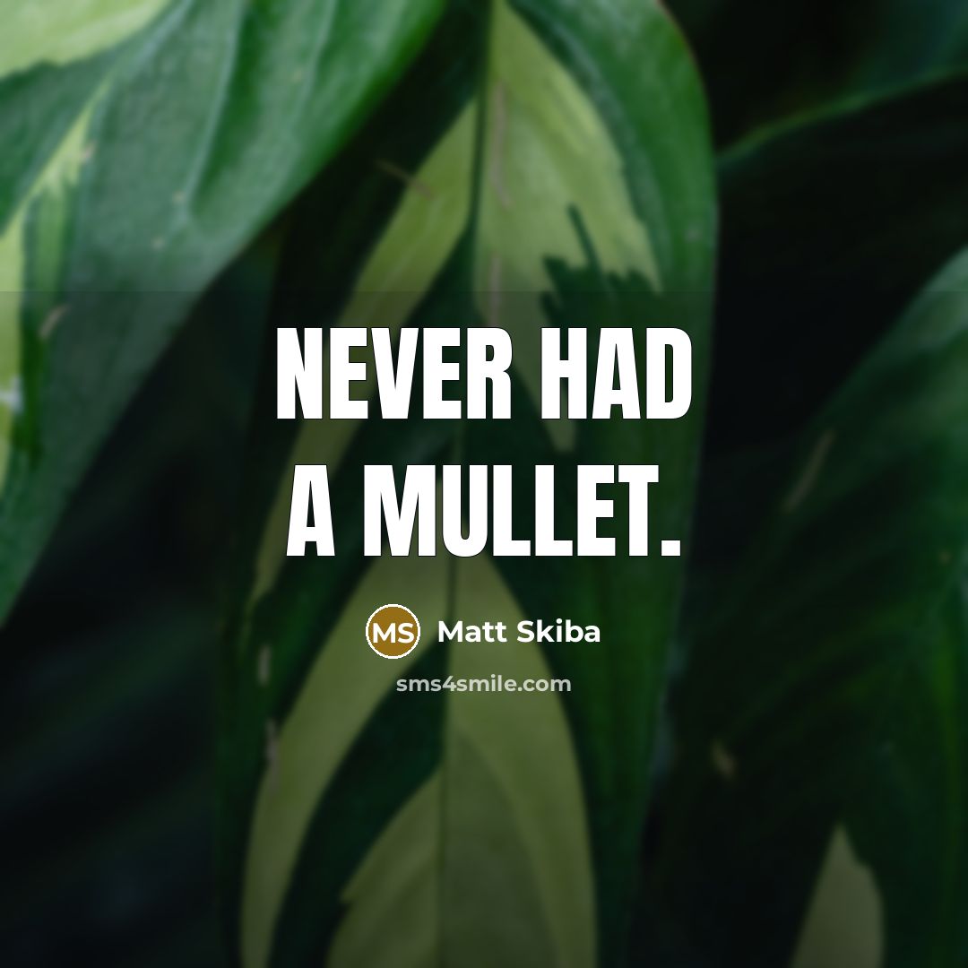 “Never had a mullet.…” quote by Matt Skiba