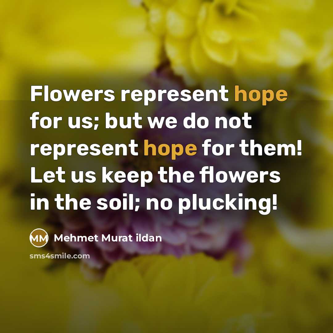 “Flowers represent hope for us; but we do not represent…” quote by Mehmet Murat Ildan