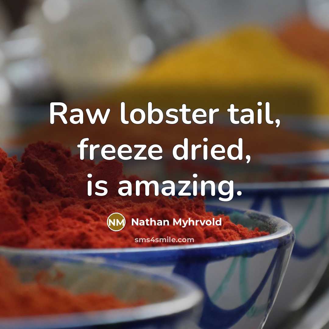 “Raw lobster tail, freeze dried, is amazing.” quote by Nathan Myhrvold