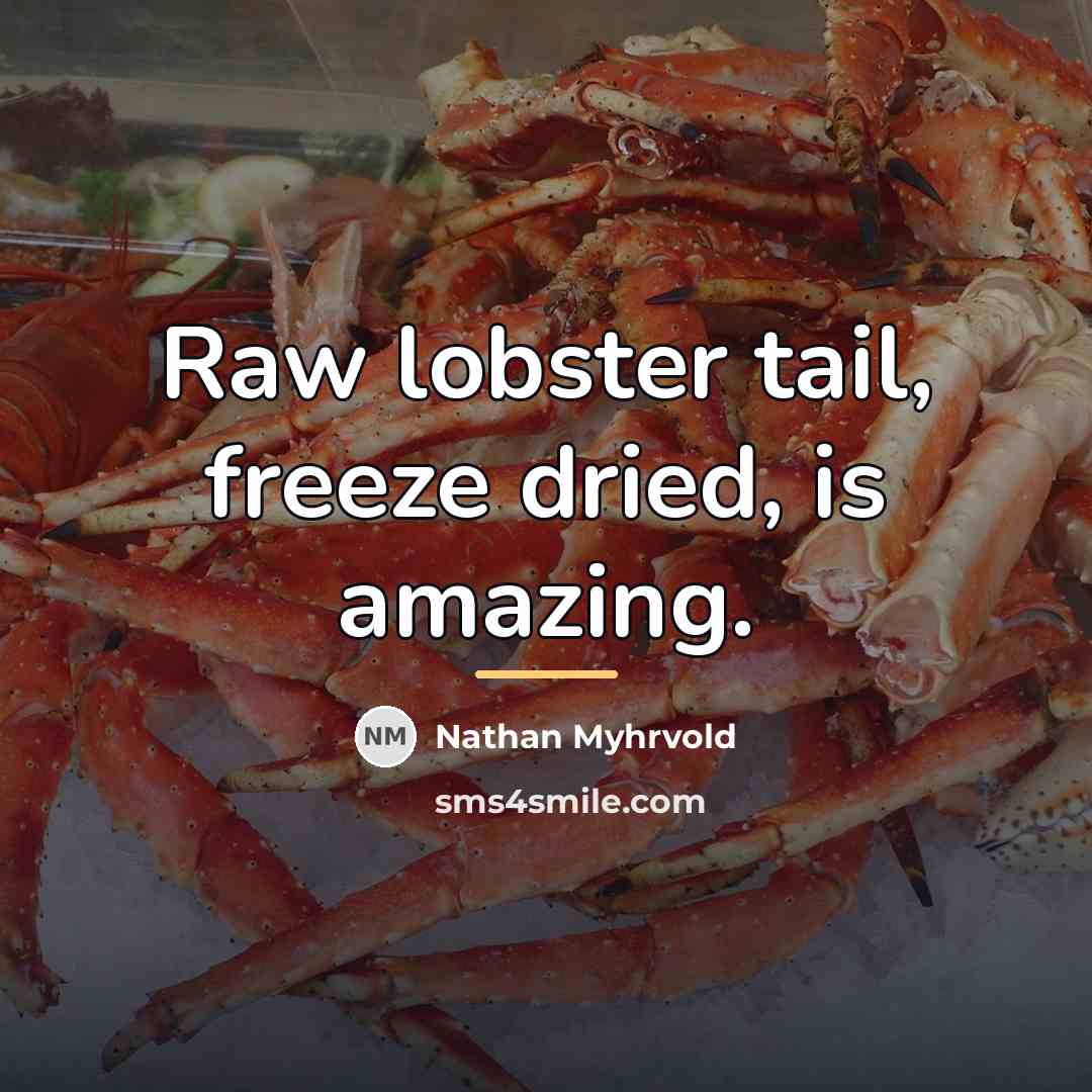 “Raw lobster tail, freeze dried, is amazing.…” quote by Nathan Myhrvold