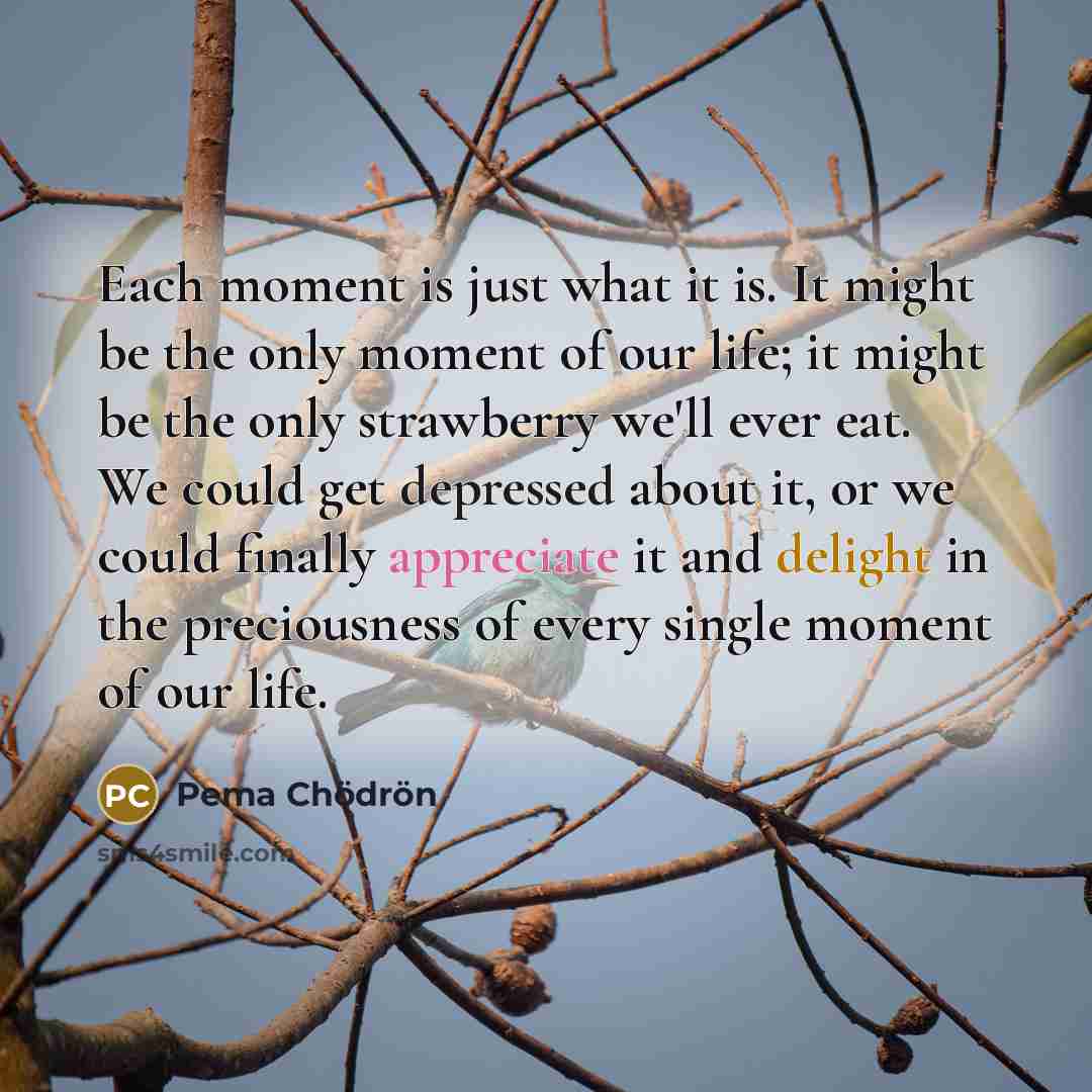 “Each moment is just what it is. It might be…” quote by Pema Chodron