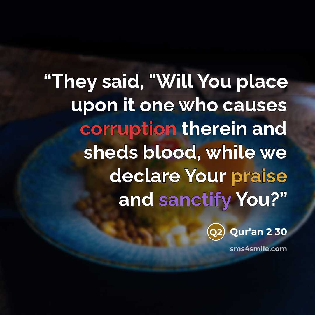 “They said, "Will You place upon it one who causes corruption therein and sheds blood, while we declare Your praise and sanctify You?” quote by Qur'an 2 30