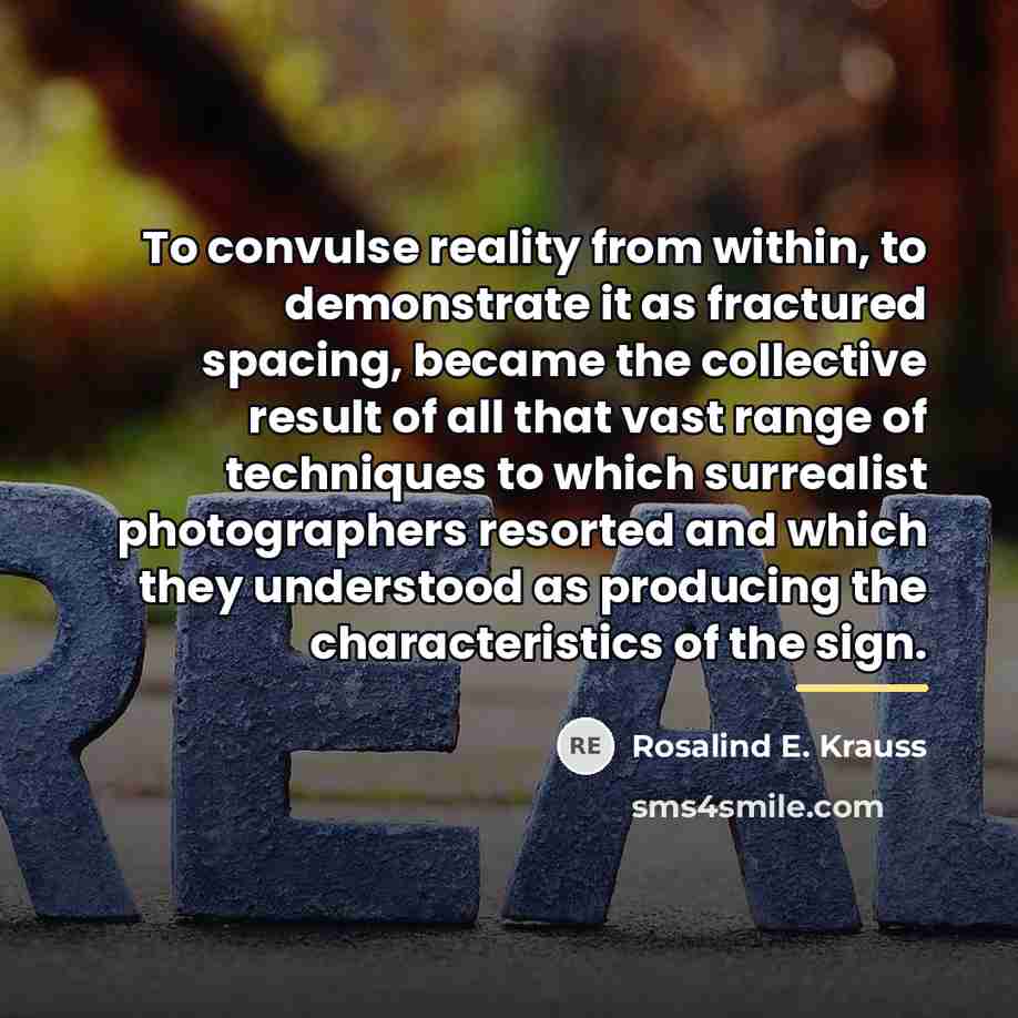 “To convulse reality from within, to demonstrate it as fractured…” quote by Rosalind E. Krauss