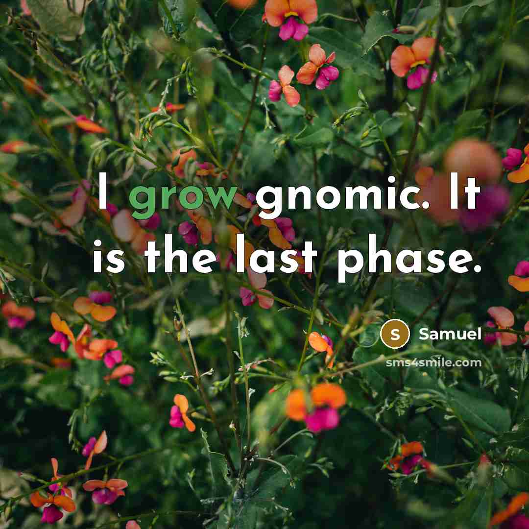 “I grow gnomic. It is the last phase.” quote by Samuel