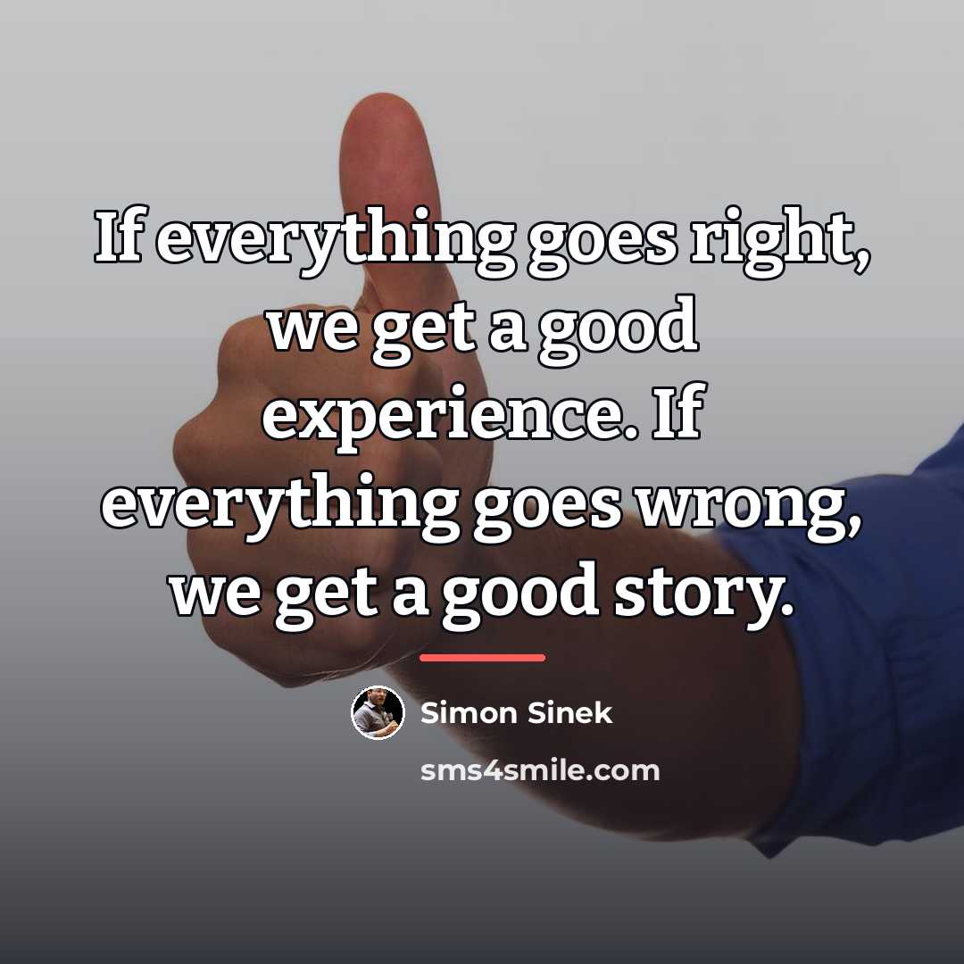 “If everything goes right, we get a good experience. If…” quote by Simon Sinek