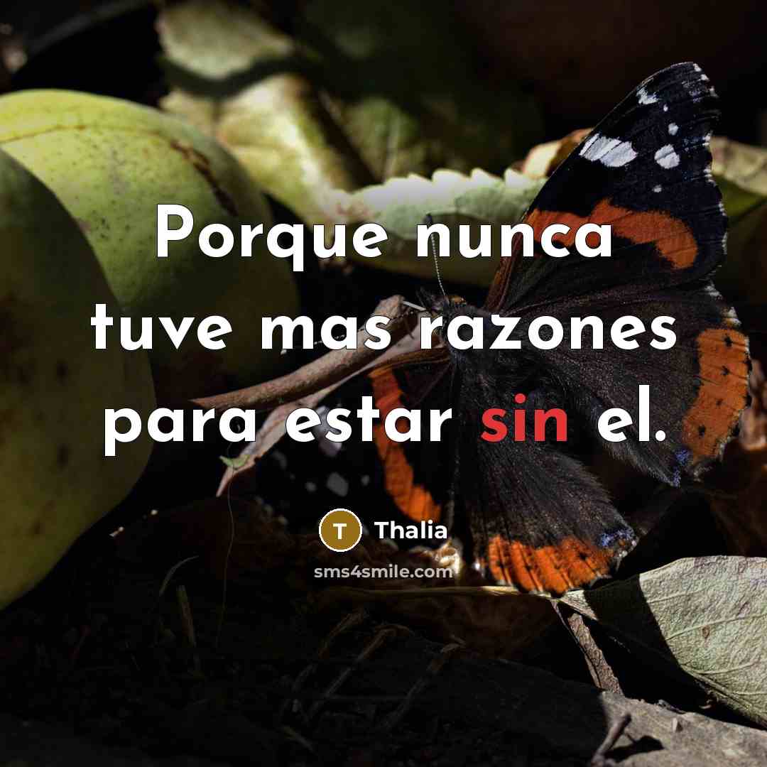 “Porque nunca tuve mas razones para estar sin el.…” quote by Thalia