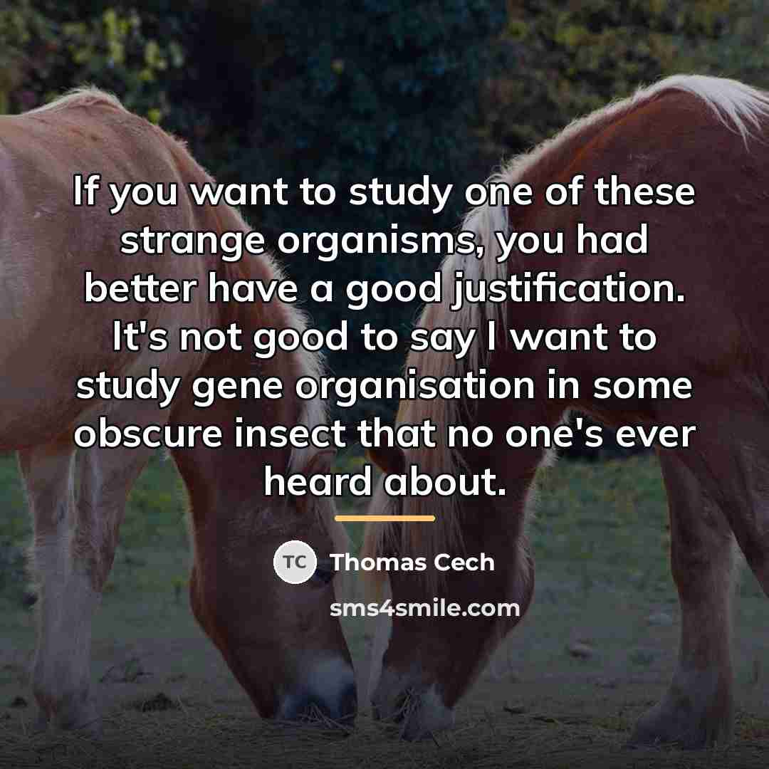 “If you want to study one of these strange organisms,…” quote by Anonymous