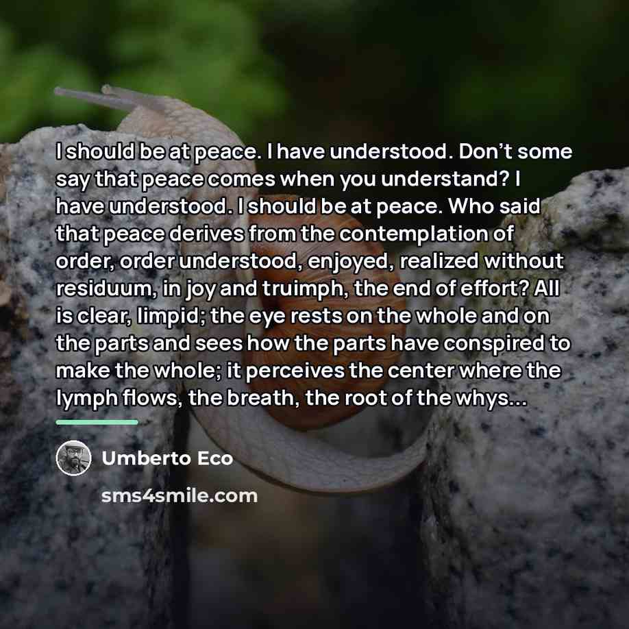 “I should be at peace. I have understood. Don't some…” quote by Umberto Eco