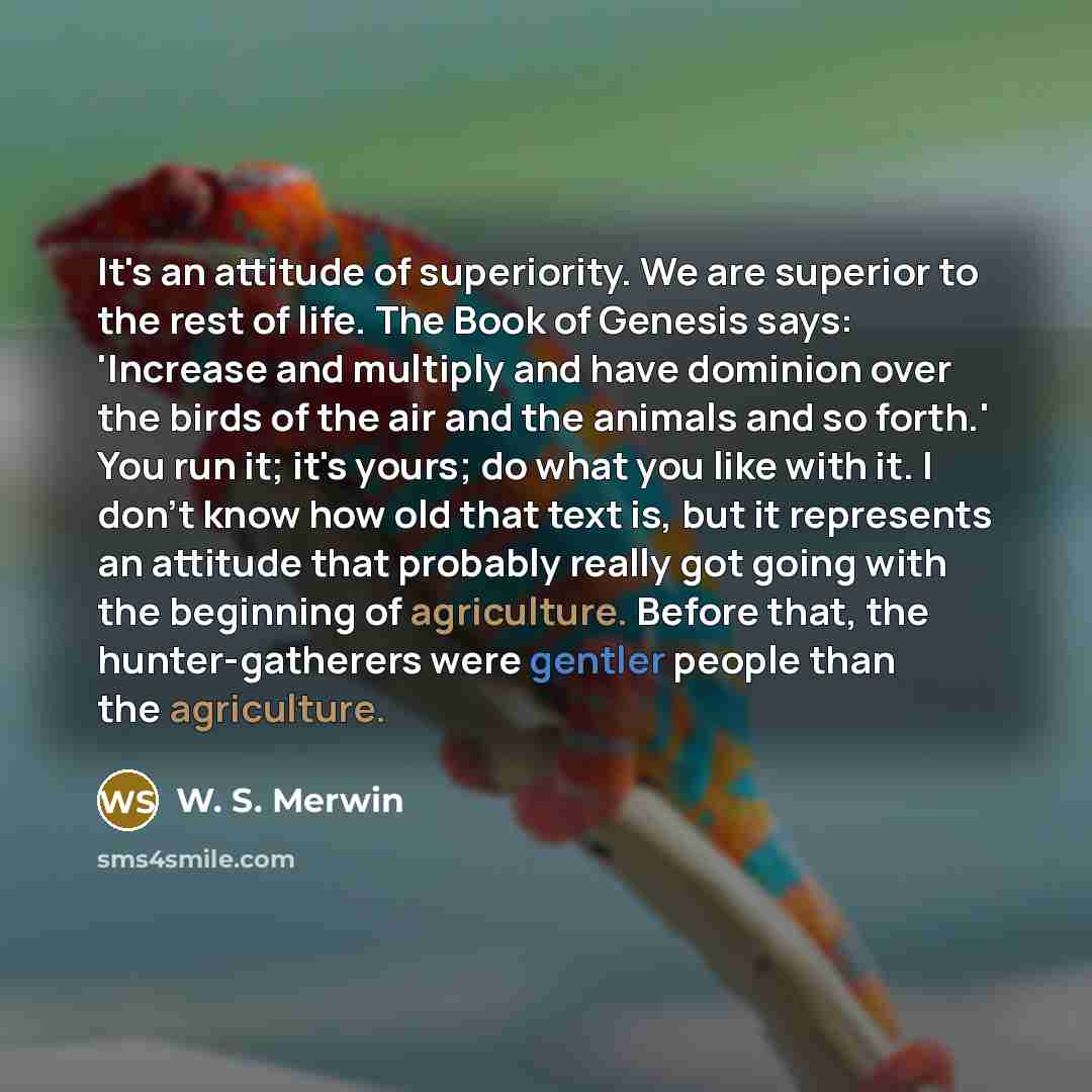 “It's an attitude of superiority. We are superior to the…” quote by W. S. Merwin