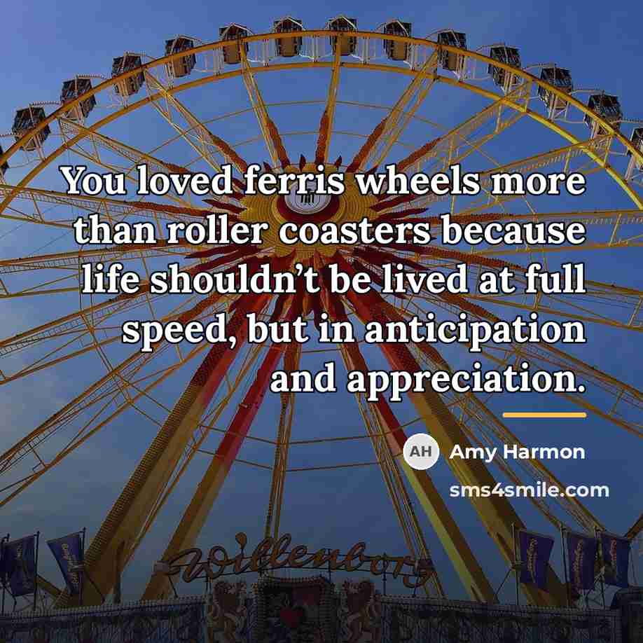 “You loved ferris wheels more than roller coasters because life…” quote by Amy Harmon