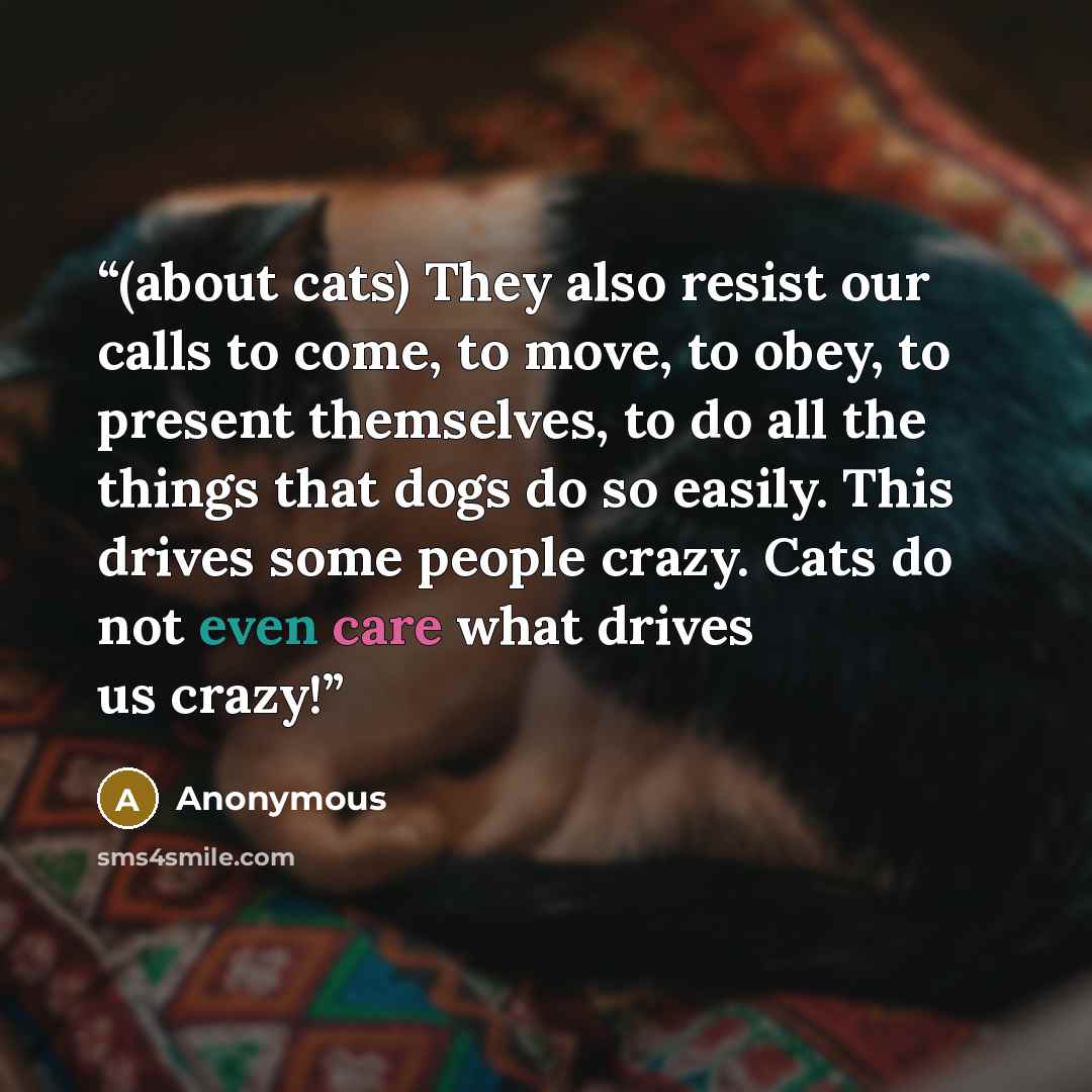 “(about cats) They also resist our calls to come, to move, to obey, to present themselves, to do all the things that dogs do so easily. This drives some people crazy. Cats do not even care what drives us crazy!” quote by Anonymous