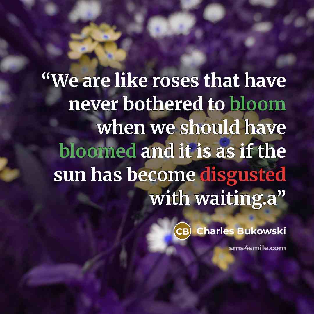 “We are like roses that have never bothered to bloom when we should have bloomed and it is as if the sun has become disgusted with waiting.a” quote by Charles Bukowski