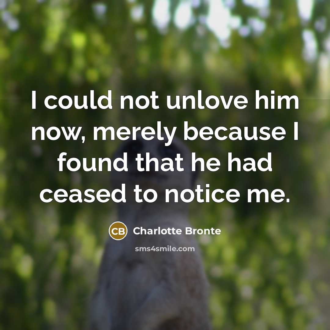 “I could not unlove him now, merely because I found…” quote by Charlotte Bronte