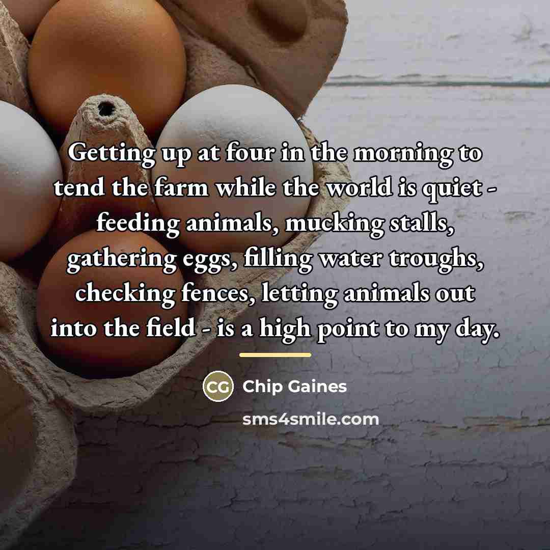 “Getting up at four in the morning to tend the…” quote by Chip Gaines
