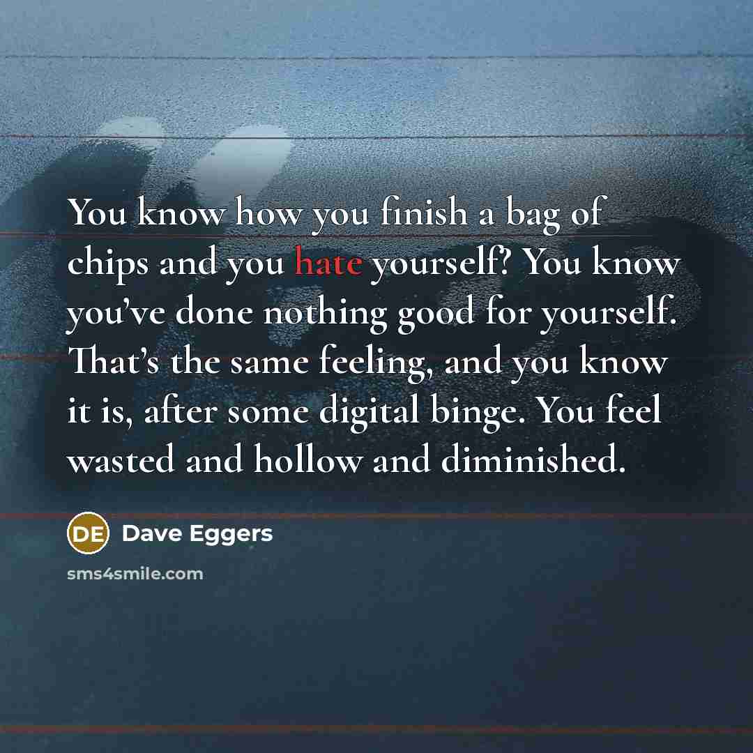 “You know how you finish a bag of chips and…” quote by Dave Eggers