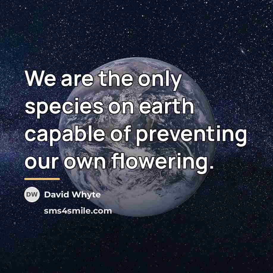“We are the only species on earth capable of preventing…” quote by David Whyte