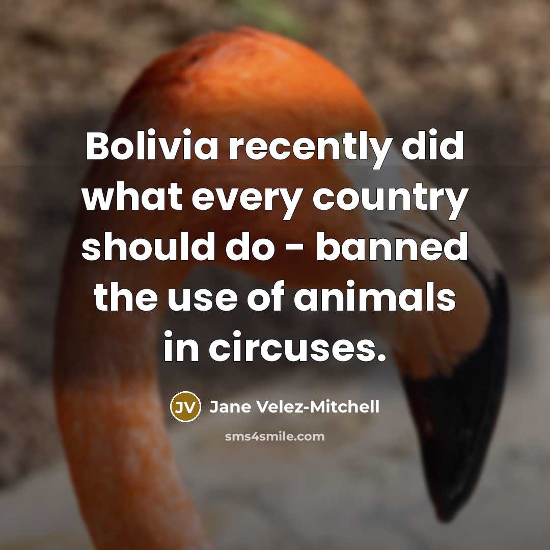 “Bolivia recently did what every country should do - banned…” quote by Jane Velez-Mitchell