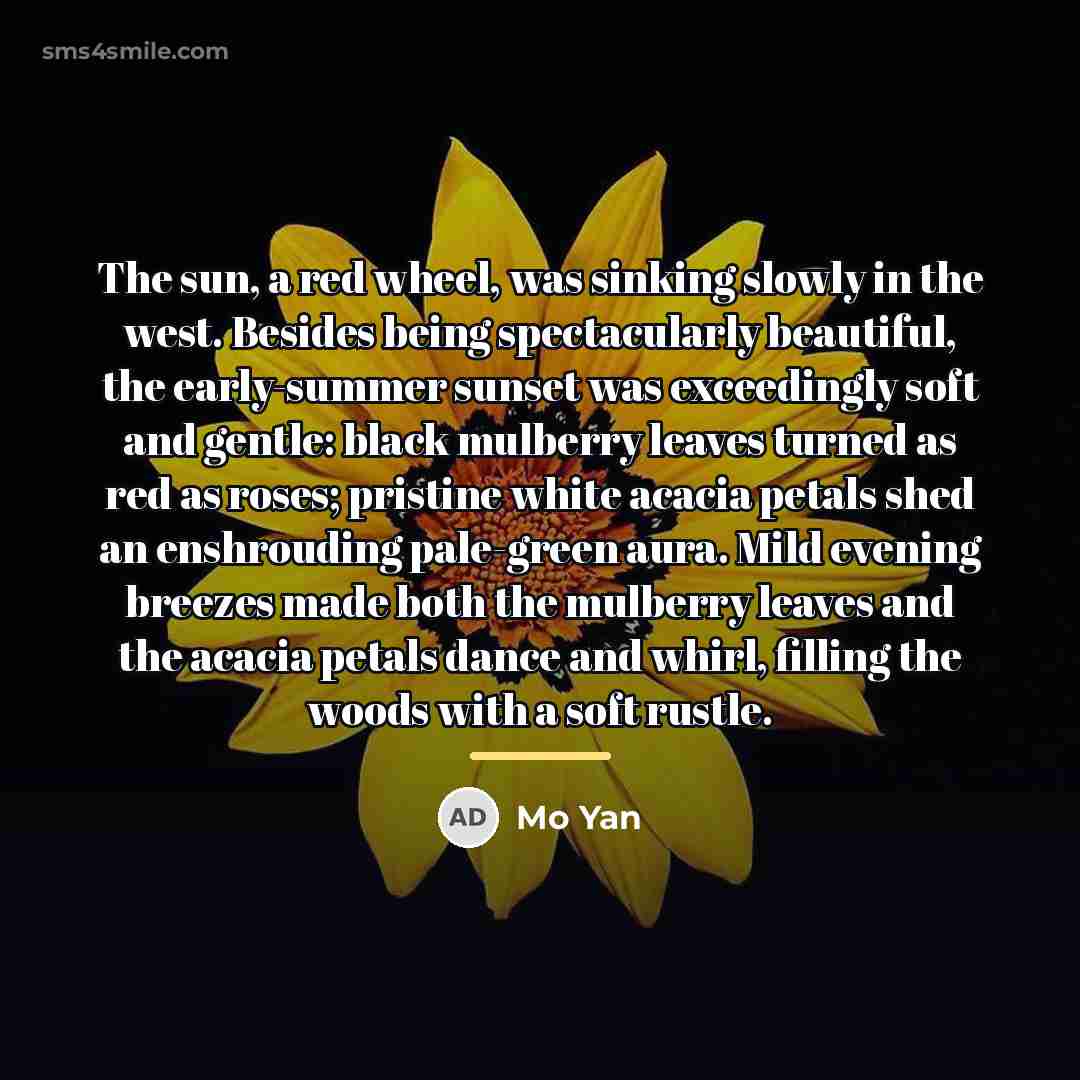 “The sun, a red wheel, was sinking slowly in the…” quote by Mo Yan