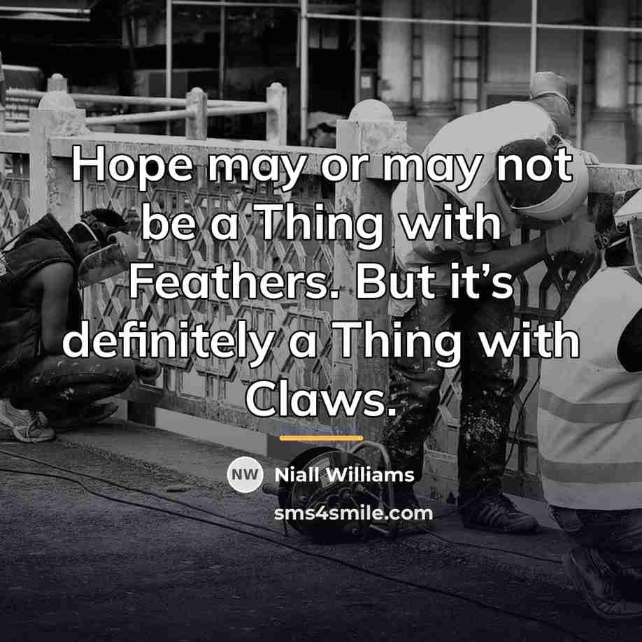 “Hope may or may not be a Thing with Feathers.…” quote by Niall Williams