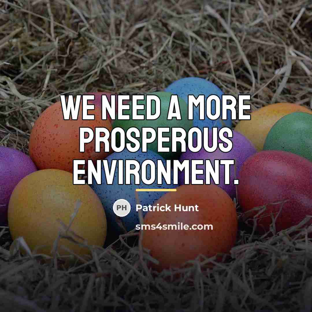 “We need a more prosperous environment.…” quote by Patrick Hunt