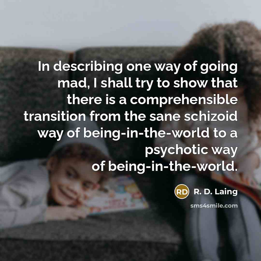 “In describing one way of going mad, I shall try…” quote by R. D. Laing