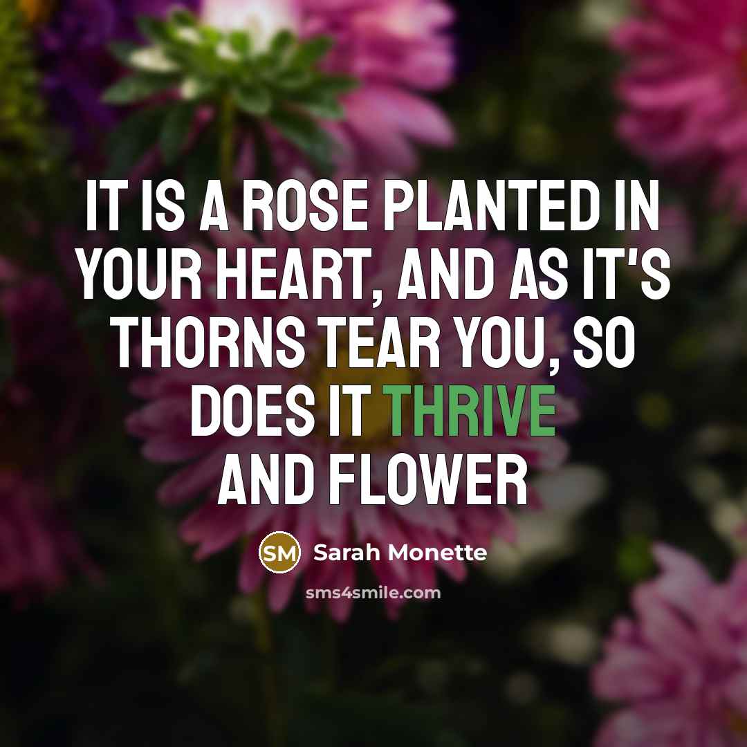 “It is a rose planted in your heart, and as…” quote by Sarah Monette