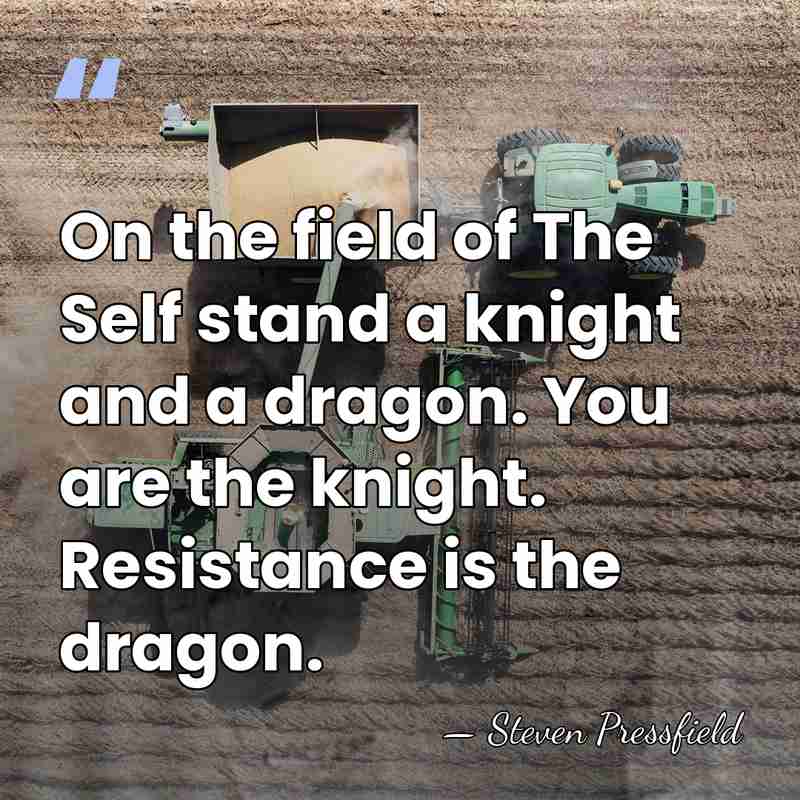 On the field of The Self stand a knight and a dragon.&hellip; - Steven Pressfield