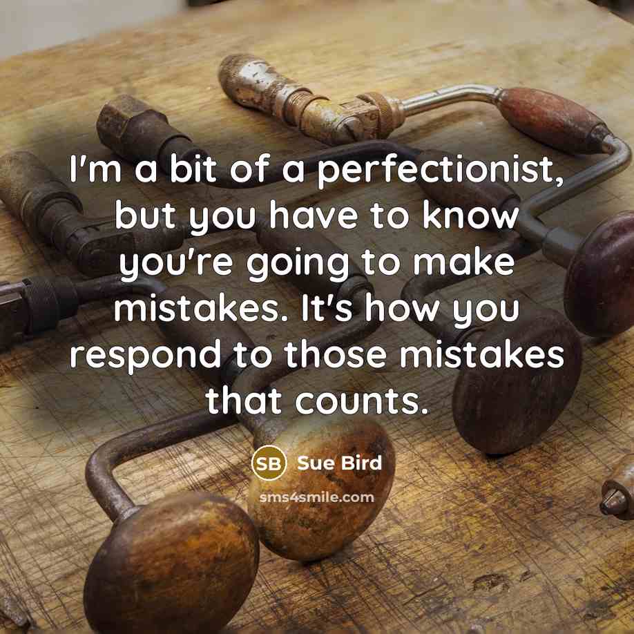 “I'm a bit of a perfectionist, but you have to…” quote by Sue Bird