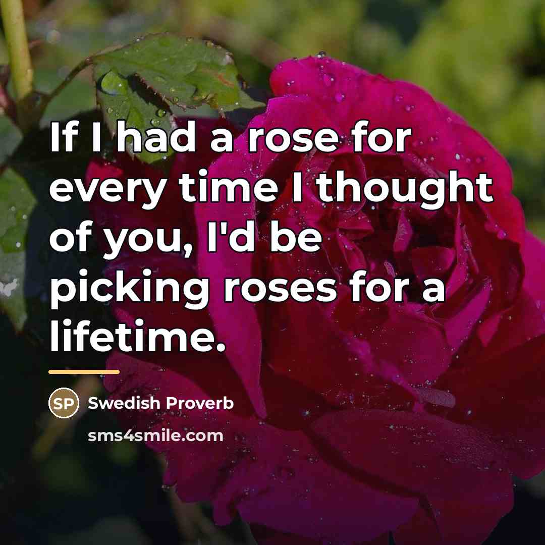 “If I had a rose for every time I thought…” quote by Swedish Proverb
