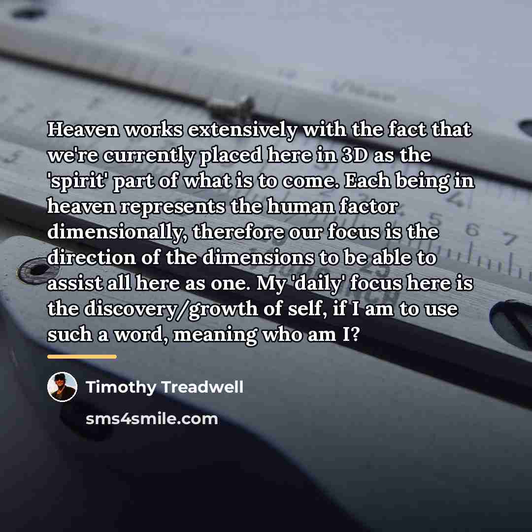 “Heaven works extensively with the fact that we're currently placed…” quote by Timothy Treadwell
