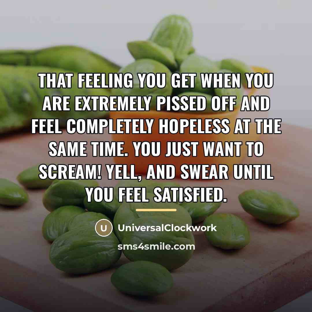 “That feeling you get when you are extremely pissed off…” quote by Universalclockwork