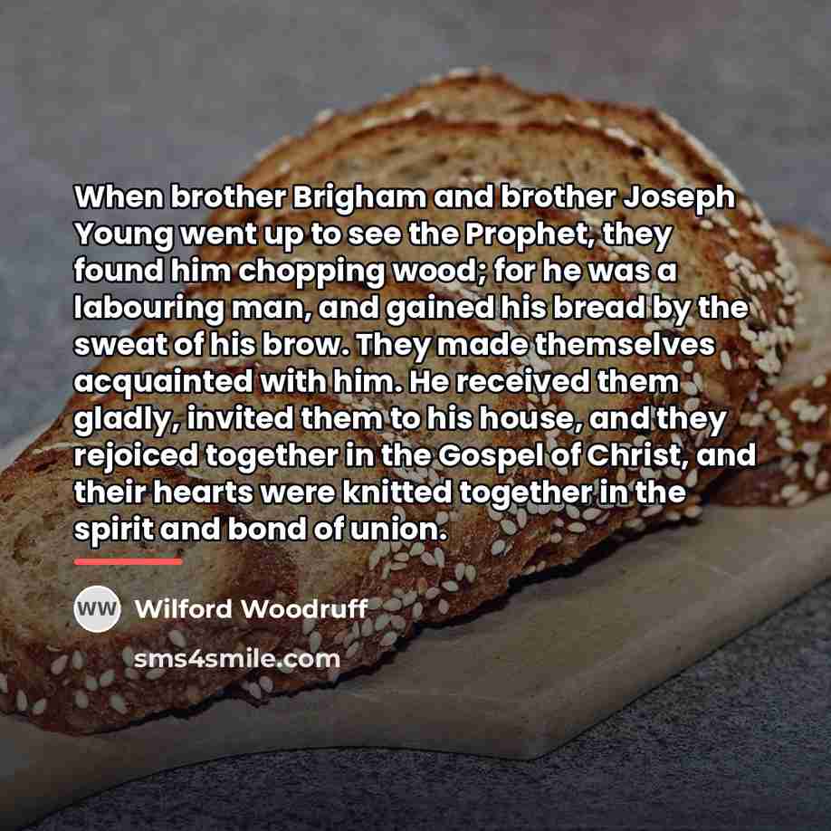 “When brother Brigham and brother Joseph Young went up to…” quote by Wilford Woodruff