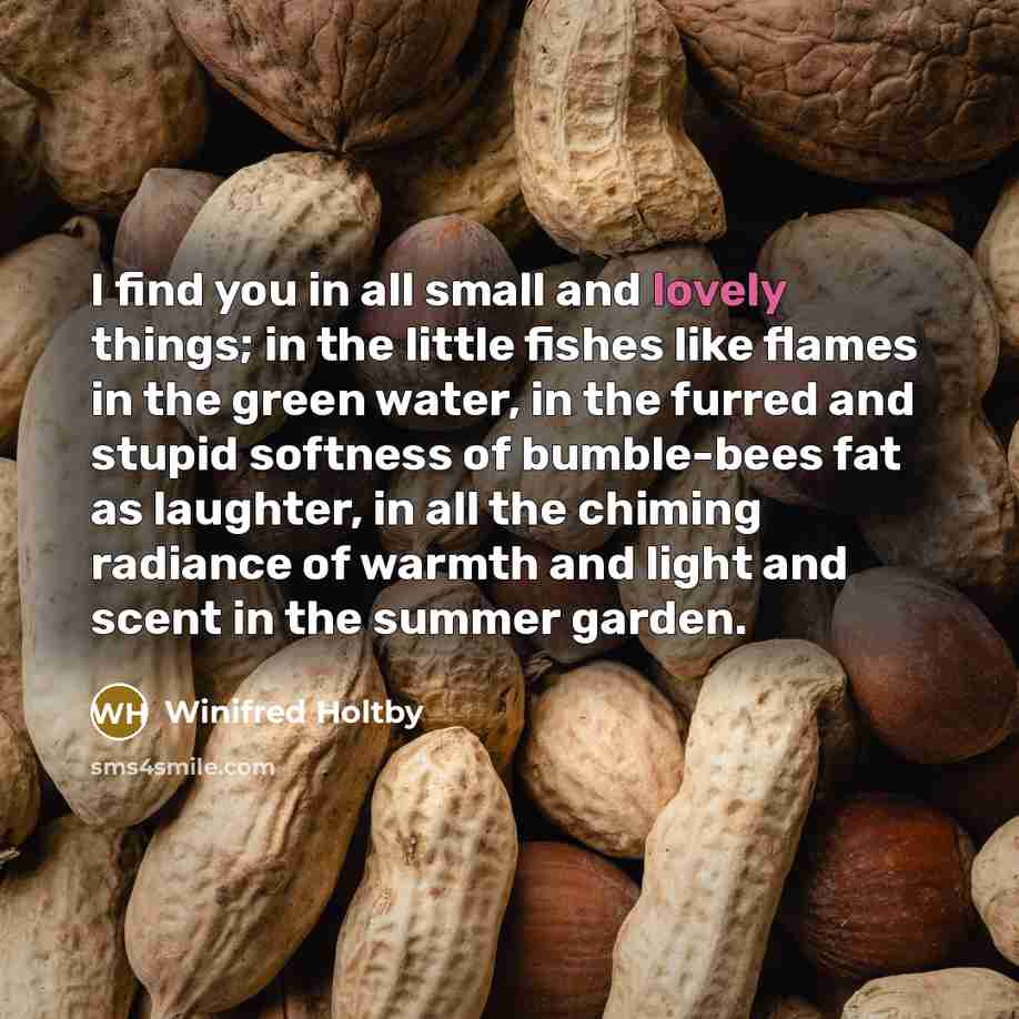 “I find you in all small and lovely things; in…” quote by Winifred Holtby