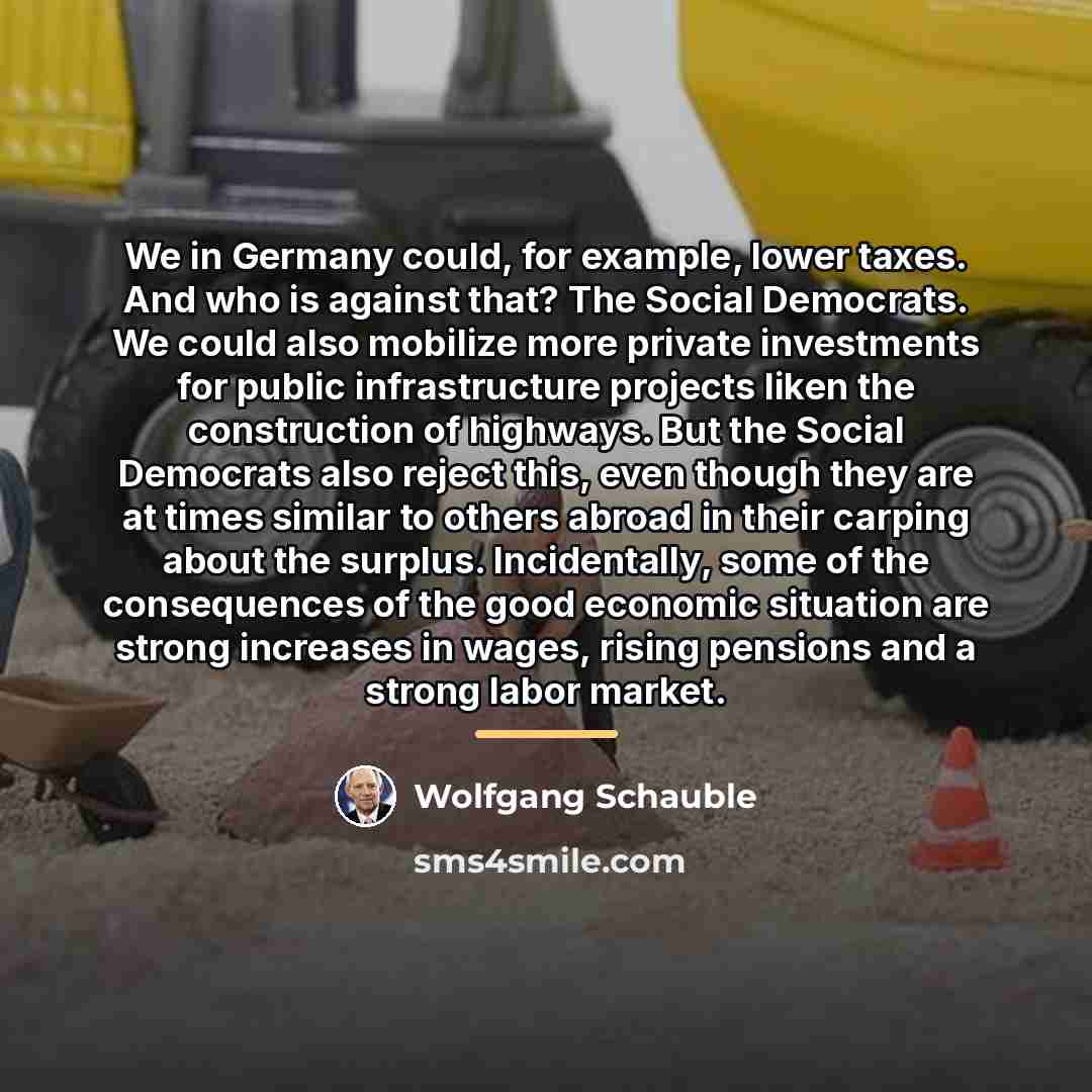 “We in Germany could, for example, lower taxes. And who…” quote by Wolfgang Schauble