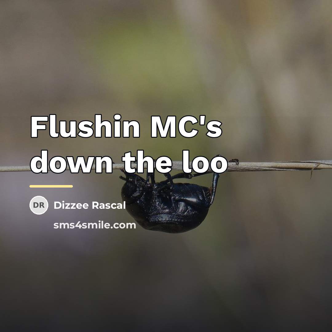 “Flushin MC's down the loo…” quote by Dizzee Rascal