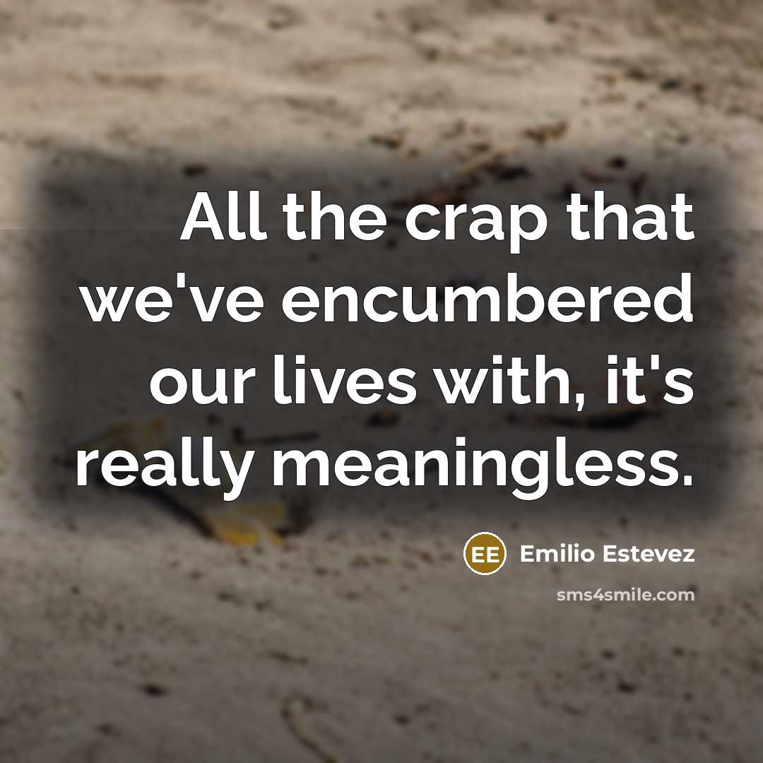 “All the crap that we've encumbered our lives with, it's…” quote by Emilio Estevez