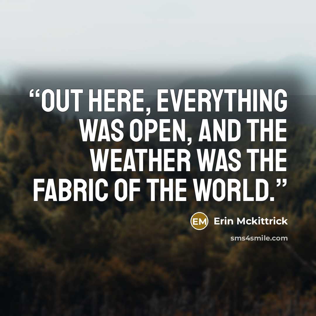 “Out here, everything was open, and the weather was the fabric of the world.” quote by Erin Mckittrick