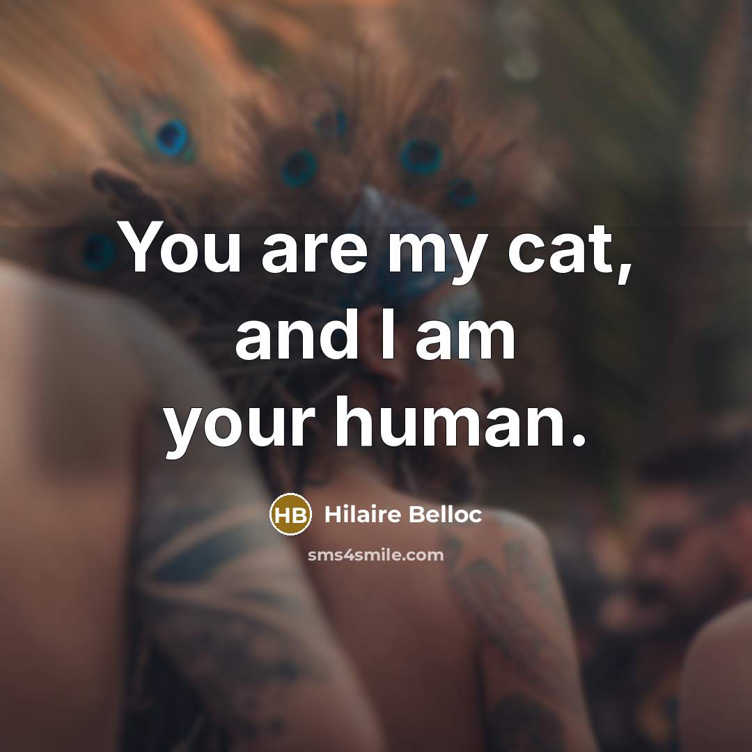 “You are my cat, and I am your human.…” quote by Hilaire Belloc