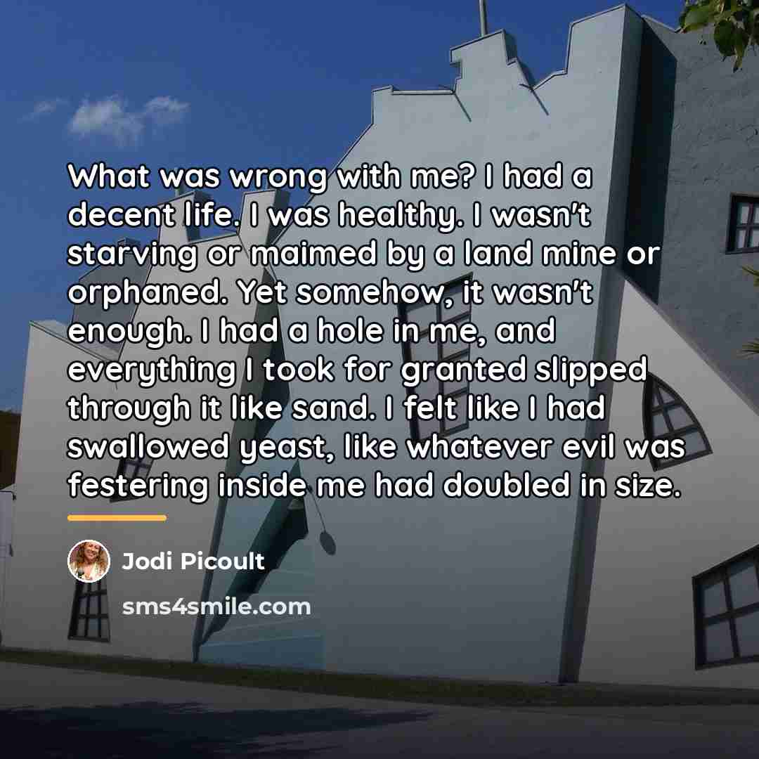 “What was wrong with me? I had a decent life.…” quote by Jodi Picoult